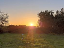 Sunsets
