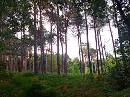 Easy access to sherring park national trust from the campsite