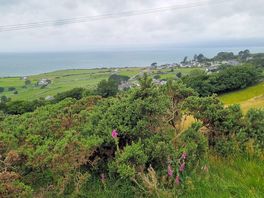 View from the slope towards the llyn peninsula