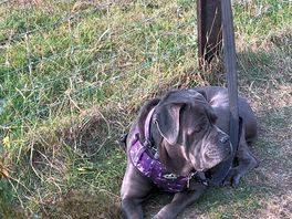 Reya taking in the views