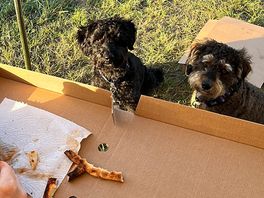Delicious pizzas made on site thurs-sunday