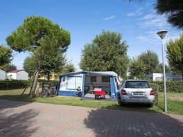 Grass pitches with parking