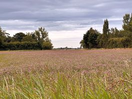 Stunning surrounding countryside