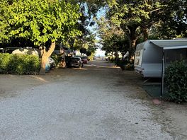 Camino