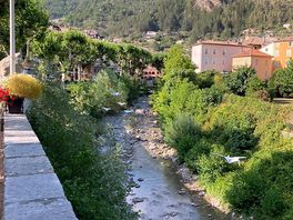 The town