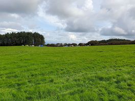 Plenty of space to choose a pitch