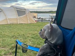 Taking in the scenery