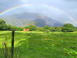 A rainbow gift