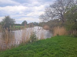 River nene
