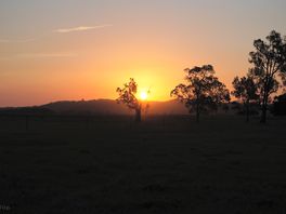 The sunset