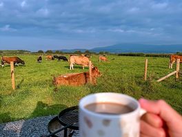 Morning brew.