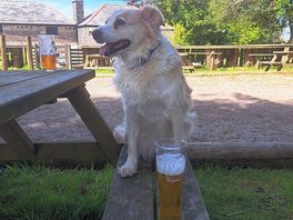 Holly enjoys a beer