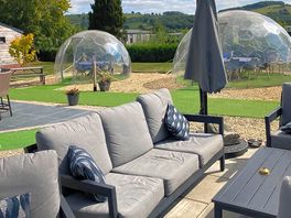 Dog friendly pods for food with your pup.