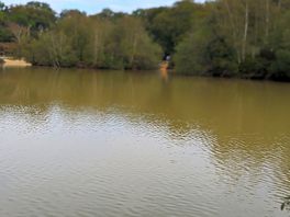 Pond