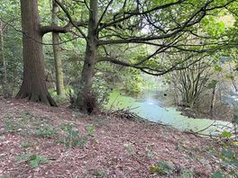The lake