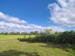Beautiful summers day