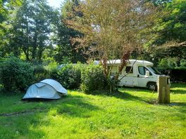 Grass pitch