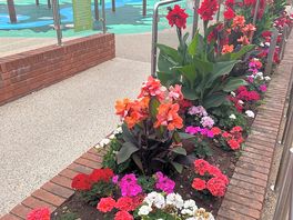 Beautiful flowers on site by reception.