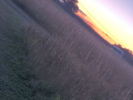 Beautiful sunsets over the communal field