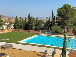 The pool!