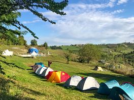 Grass pitches