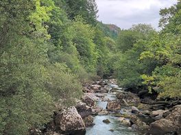 The river view when entering the camp