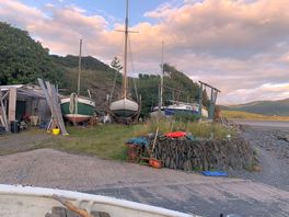 Some of the boats