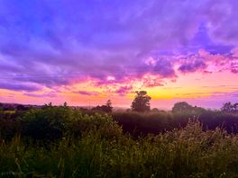 We took an evening walk to go wooding for a campfire and watched the most beautiful sunset