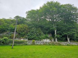 View of the site