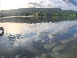 Coniston early morning - our view 15m from where the tent was pitched.