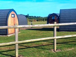 View of the pods