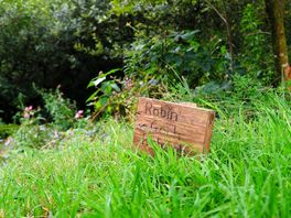 Sign.