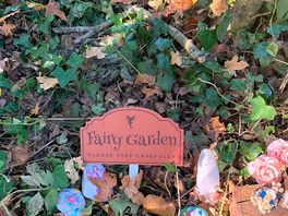 Cute fairies