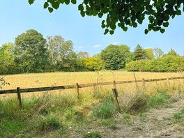 Meadow