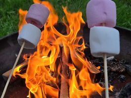 Firepit and marshmallows included