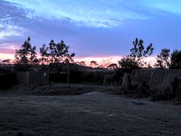 View from tent