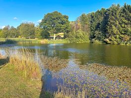 Tranquility