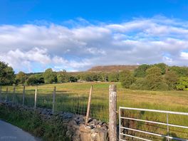 Looking up from footpath