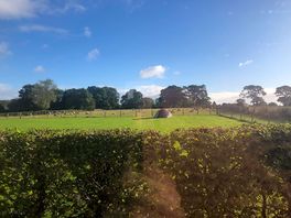 View out of van