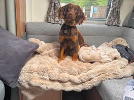Willow living her best life