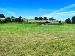 Field view