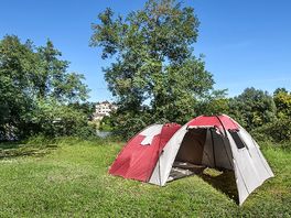 Pitches surrounded by trees