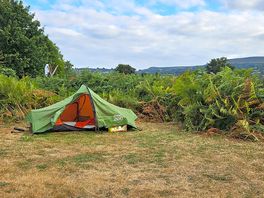 My tiny tent in my lovely big pitch