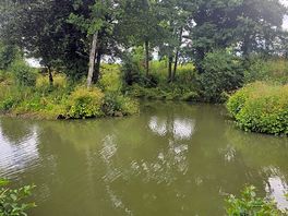 Revels fishery