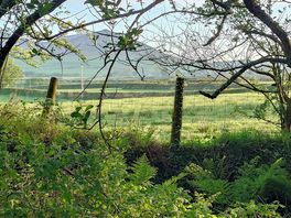 Scenery
