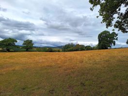 Lovely views