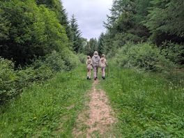 Walk in woods