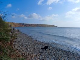 Beautiful coastline