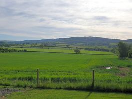 The view