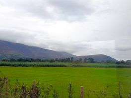 View from site